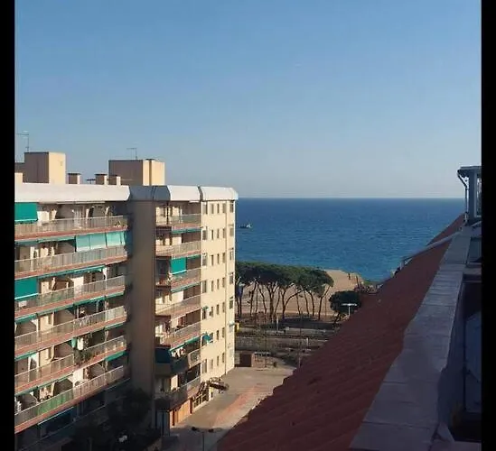公寓 Estudio Pie De Playa - Piscina.